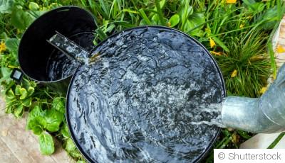 Économiser l\'eau dans le jardin durant la saison froide