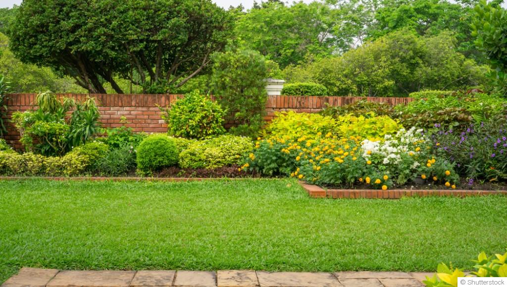 Entretien hivernal du gazon : conseils et astuces