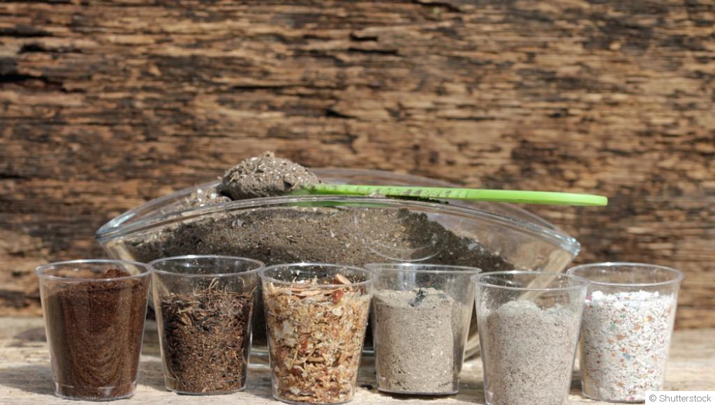 Le jardinage biodynamique en hiver : principes et pratiques