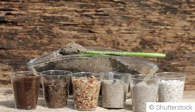 Le jardinage biodynamique en hiver : principes et pratiques