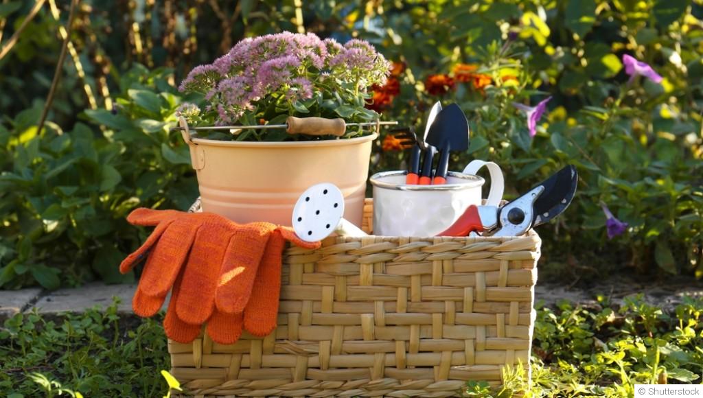 L\'hivernage des outils de jardin : maintenance et stockage