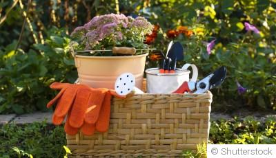 L\'hivernage des outils de jardin : maintenance et stockage
