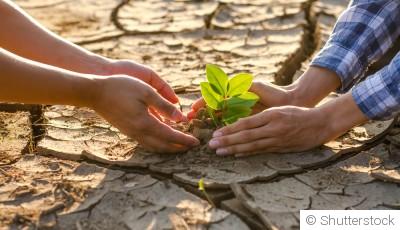 L\'impact du changement climatique sur le jardinage en hiver