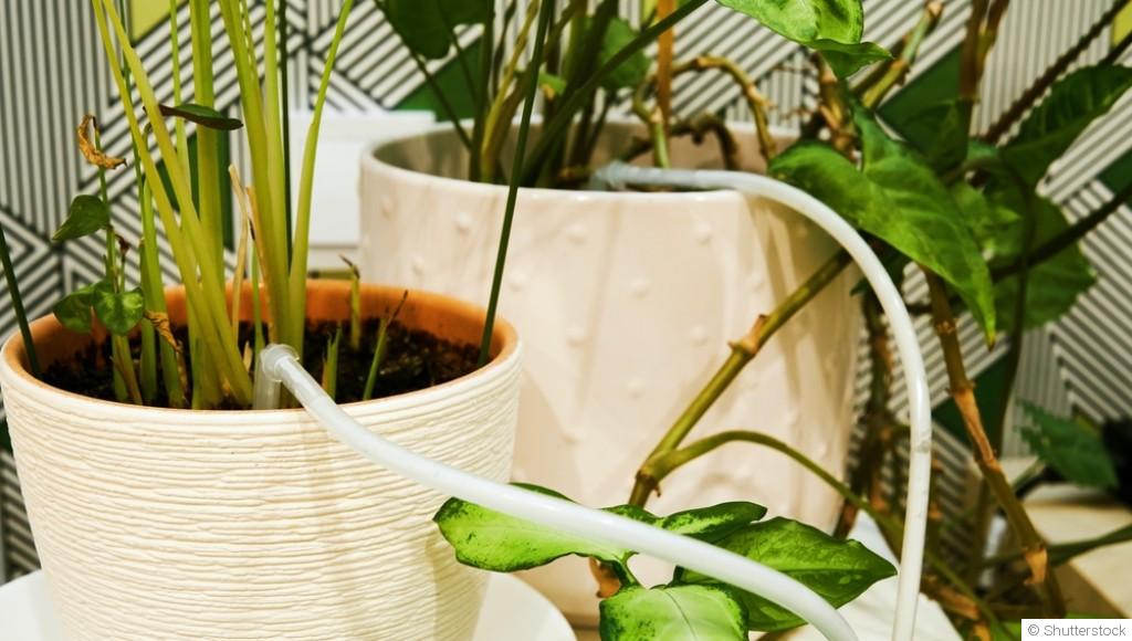 L\'isolation des bacs à plantes: techniques et matériaux