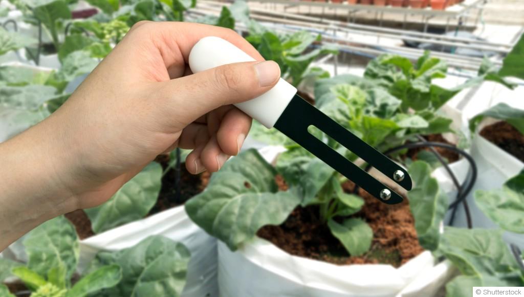 La gestion du pH du sol en période hivernale