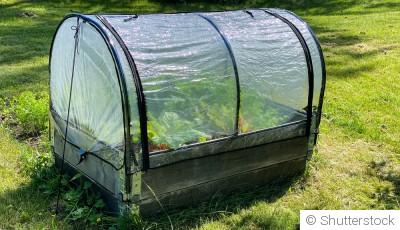 La meilleure façon d\'aménager votre serre pour l\'hiver