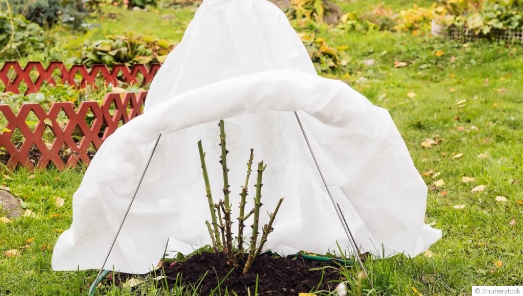 La préparation du sol en hiver pour une meilleure récolte au printemps