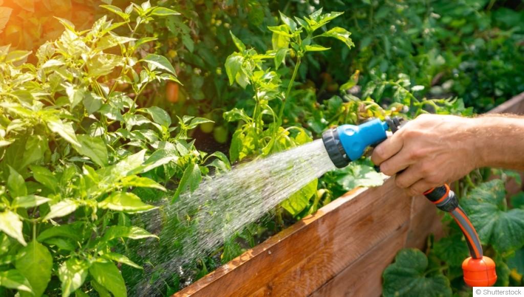 Les meilleures pratiques pour l\'arrosage hivernal