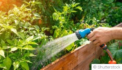 Les meilleures pratiques pour l\'arrosage hivernal