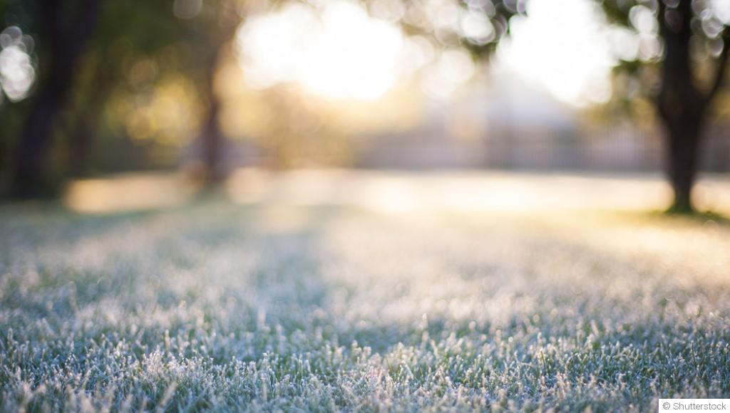 Optimiser l\'exposition solaire de votre jardin en hiver