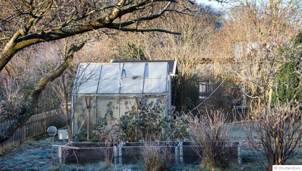 Planification du jardin de printemps : que faire pendant l\'hiver?