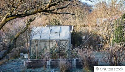 Planification du jardin de printemps : que faire pendant l\'hiver?