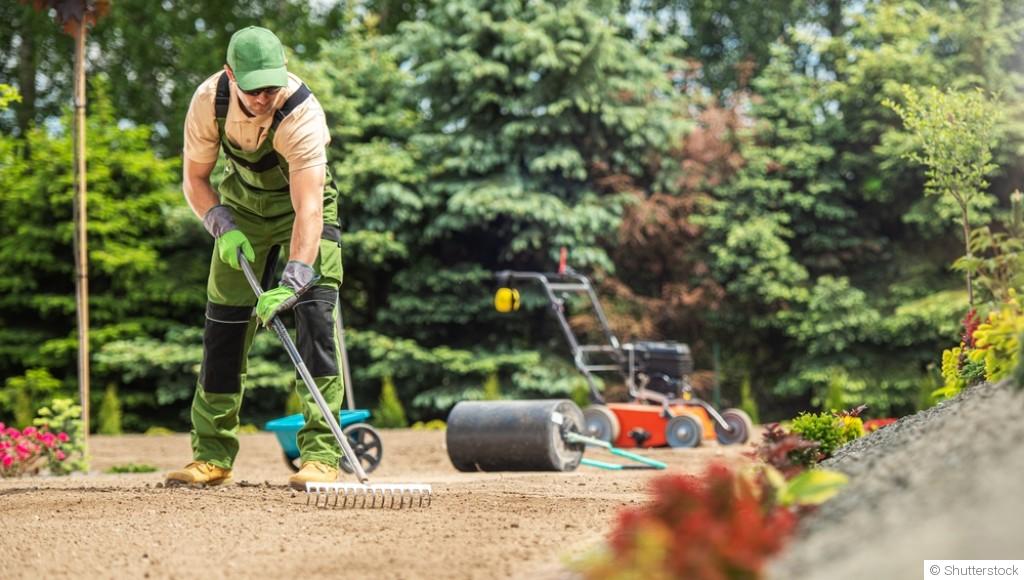 Rénovation hivernale du jardin : projets et préparations