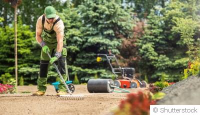 Rénovation hivernale du jardin : projets et préparations