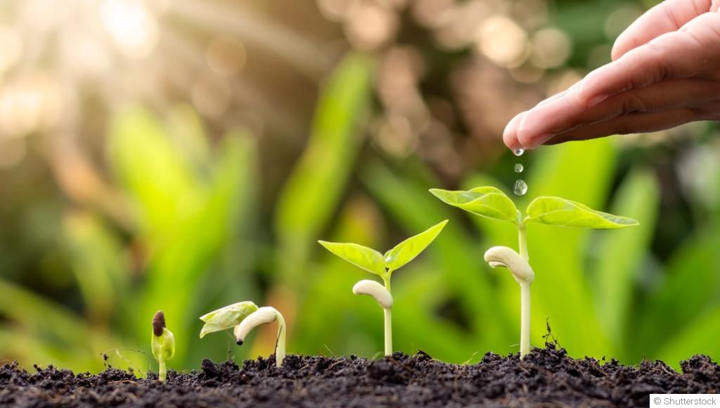 Astuces naturelles pour booster la croissance des plantes
