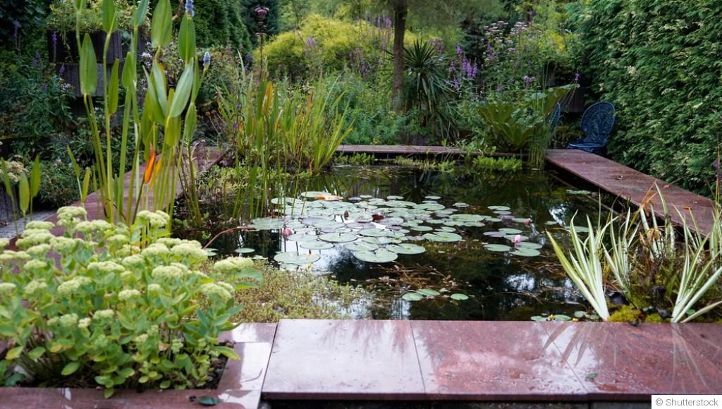 Création et entretien de jardins aquatiques