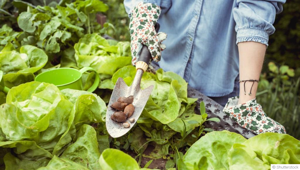 Cultiver des jardins naturels et sauvages