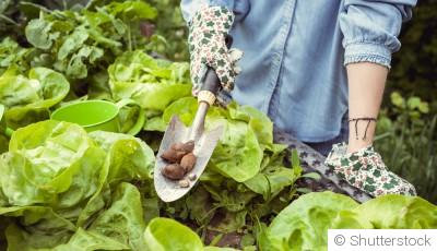 Cultiver des jardins naturels et sauvages