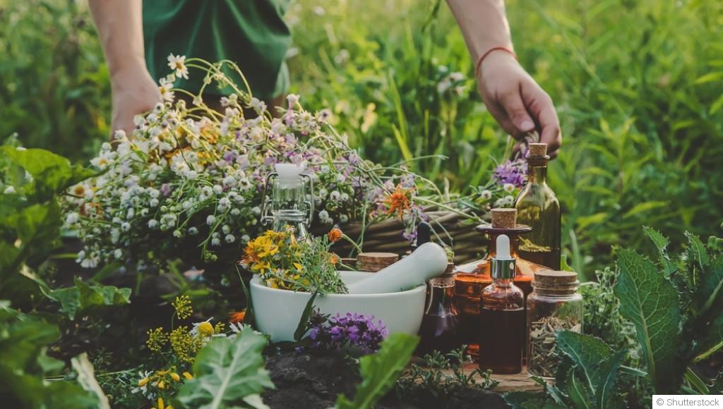Cultiver un jardin de plantes médicinales et aromatiques