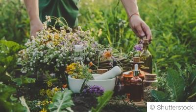 Cultiver un jardin de plantes médicinales et aromatiques