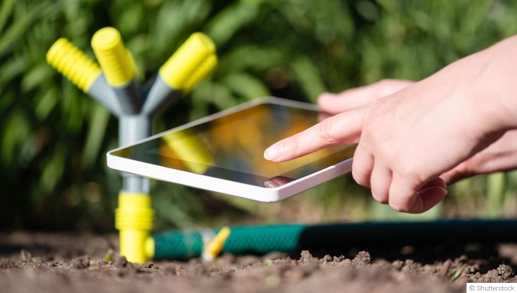 Gestion de l\'eau au jardin : astuces et solutions