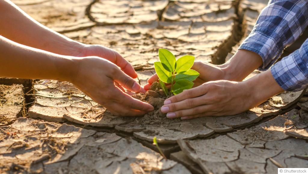 Jardinage en climat sec : les meilleures pratiques