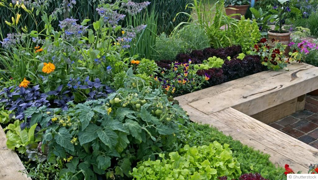 Jardins urbains : maximiser l\'espace et la biodiversité