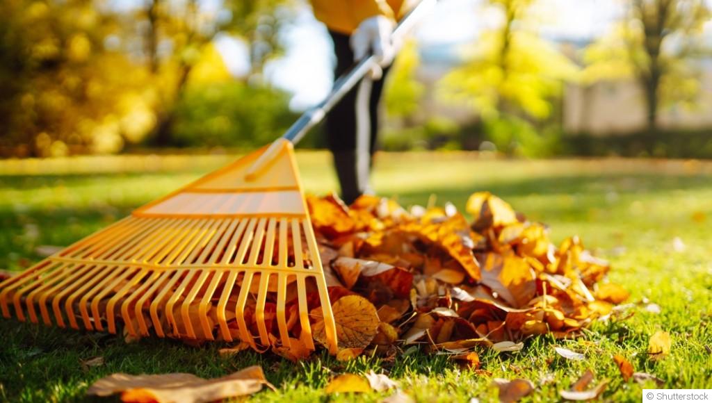 Le recyclage au jardin : une approche écologique