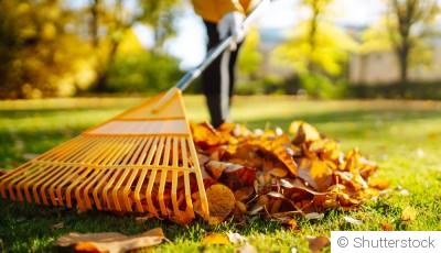 Le recyclage au jardin : une approche écologique
