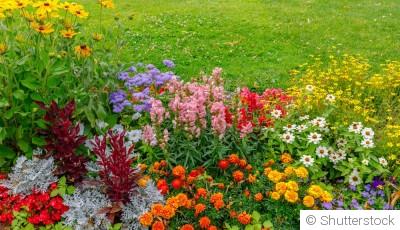 Les bienfaits des jardins fleuris et colorés