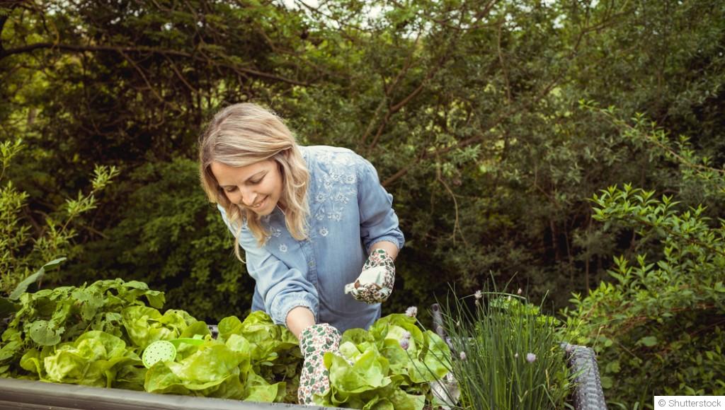 Nouvelle tendance : le jardinage lent (Slow gardening)