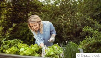 Nouvelle tendance : le jardinage lent (Slow gardening)