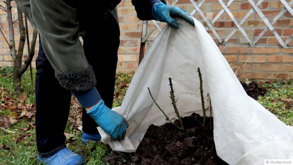 Protéger votre jardin pour l\'hiver