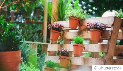 Réutilisation créative au jardin : idées et astuces