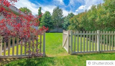 Quelles plantes utiliser pour recouvrir vos clôtures?