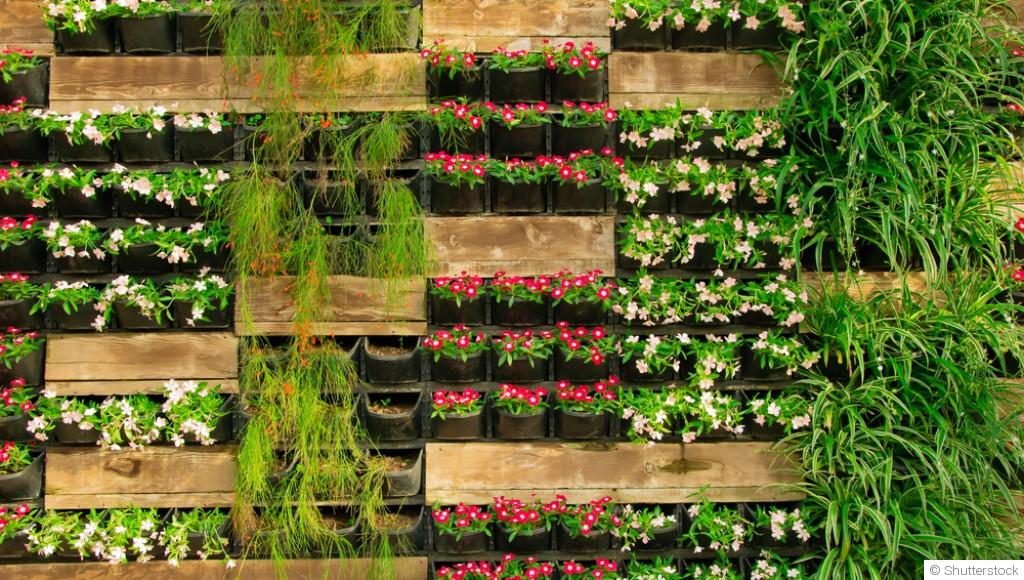 Comment créer un jardin vertical ?