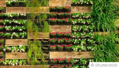 Jardins verticaux : maximiser l’espace et la beauté