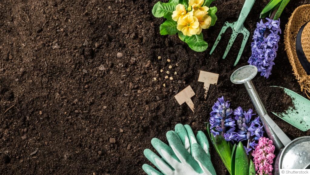 Comment aménager son jardin sans arrosage ?
