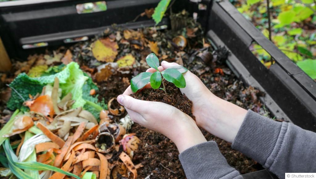 Mettre en place un lombricomposteur