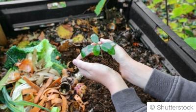 Mettre en place un lombricomposteur