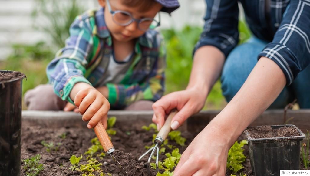 Comment placer vos légumes dans votre potager ?