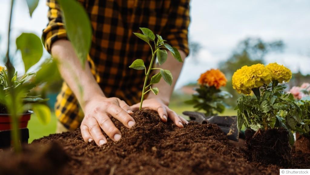 Les bases du jardinage pour débutants : par où commencer ?