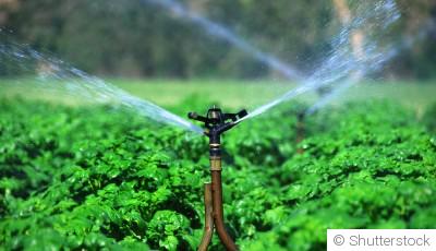 Comment installer un système d’irrigation économique et efficace
