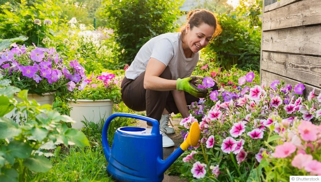 Créer un jardin de fleurs qui fleurit toute l’année