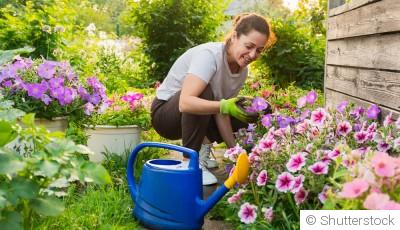 Créer un jardin de fleurs qui fleurit toute l’année