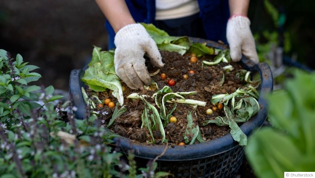 Le guide du compostage pour un jardin écologique