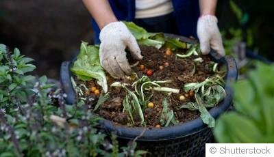 Le guide du compostage pour un jardin écologique