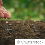 Jardin écologique : réduire l’arrosage sans nuire aux plantes