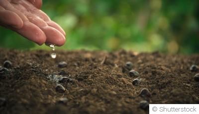 Astuces pour un arrosage efficace et écologique