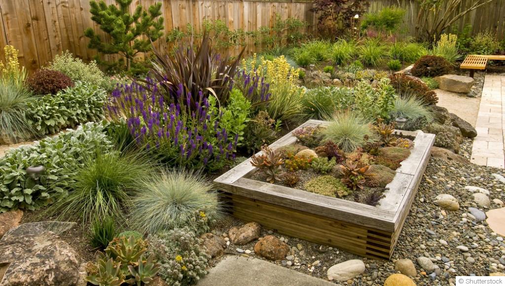 Plantes résistantes à la sécheresse pour un jardin durable